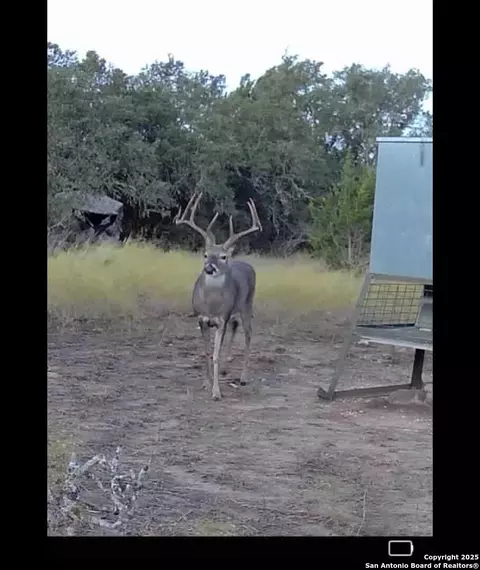 838 Fm 573 S, Mullin, TX 76864