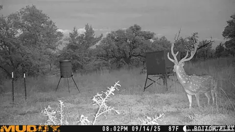 lot2 Live Oak Rdg, Bandera, TX 78003