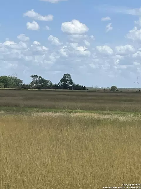 tbd Fm 673, Pawnee, TX 78145 photo 4
