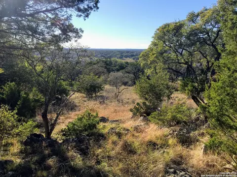 447 Coyote Trl, Spring Branch, TX 78070