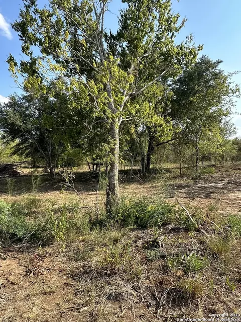 5894 Fm 1107 Unit B-tract 1, Stockdale, TX 78160