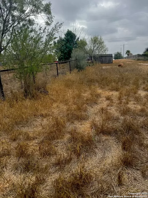 103 Oleander, Cotulla, TX 78014 photo 6