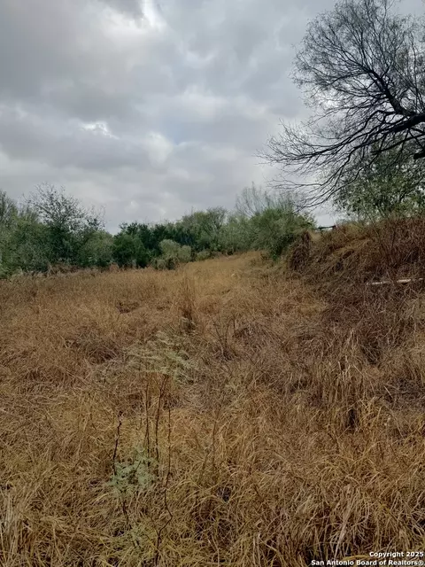 103 Oleander, Cotulla, TX 78014 photo 9