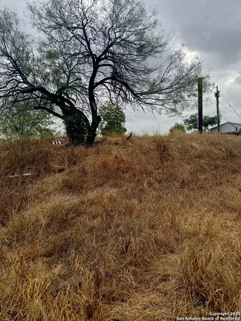 103 Oleander, Cotulla, TX 78014 photo 8