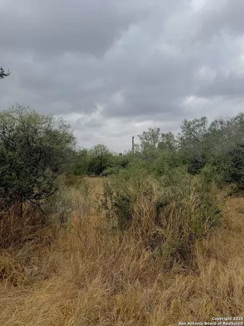 103 Oleander, Cotulla, TX 78014 photo 7