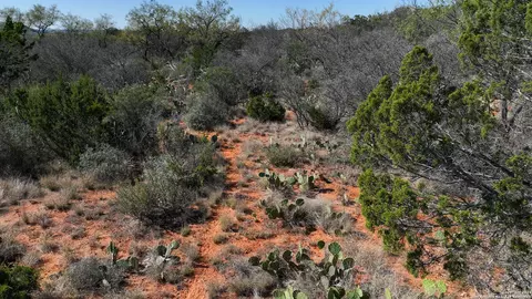 Other - 2356 Kc 314, Junction, TX 76849 photo 14 of 15