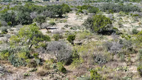 Other - 2356 Kc 314, Junction, TX 76849 photo 15 of 15