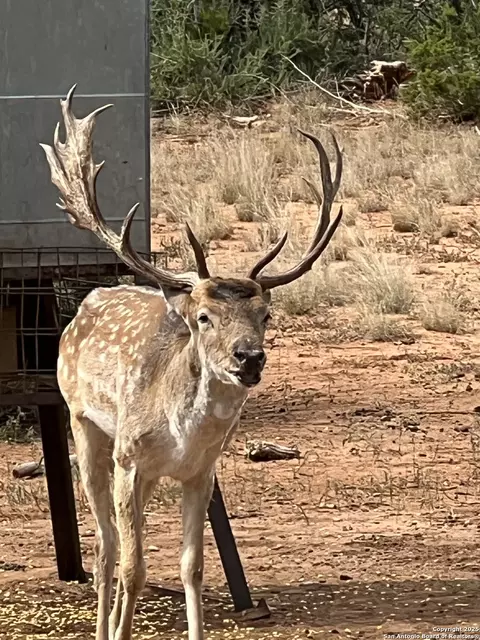 Other - 2356 Kc 314, Junction, TX 76849 photo 13 of 15