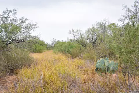 000 Jefferies Rd, Laredo, TX 78045 photo 10