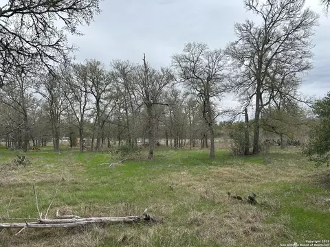 141 N Eskew Ln, Cedar Creek, TX 78612