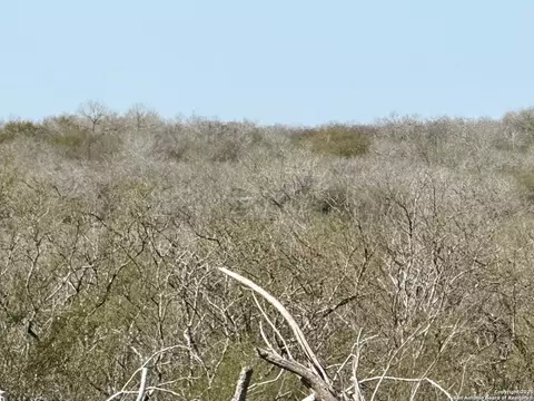 0 Cr 148, Kenedy, TX 78119
