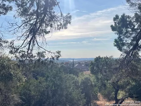 426 Coneflower Dr, Spring Branch, TX 78070