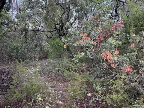 19011 Snuggle Clf, San Antonio, TX 78255