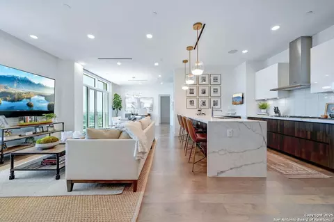 123 Lexington #1410, San Antonio, TX 78205