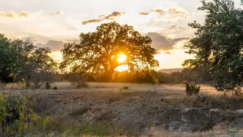 1593 County Road 354, Utopia, TX 78884