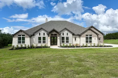 10679 Chestnut Warbler, New Braunfels, TX 78132