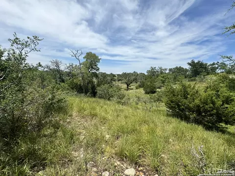 134 W Eli Chandler, Blanco, TX 78606