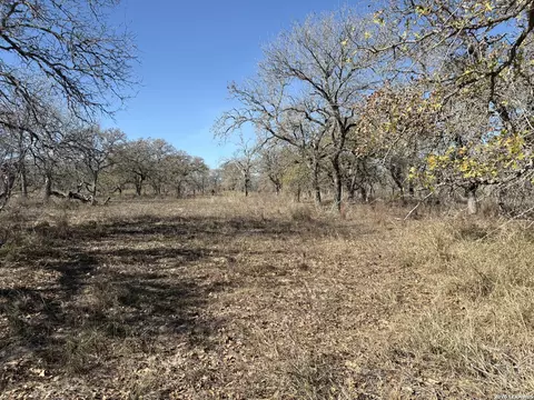165 Littlehorn Ln, La Vernia, TX 78121