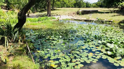335 Rittimann, Spring Branch, TX 78070