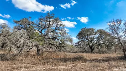 2703 Cr 770, Natalia, TX 78059
