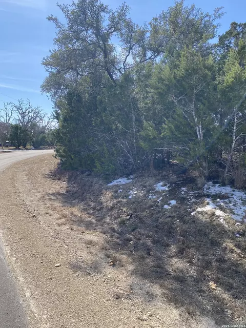 359 Moosehead, Spring Branch, TX 78070