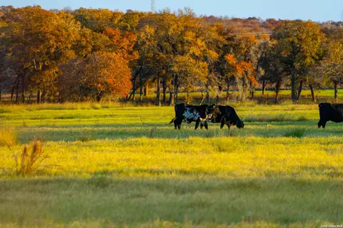 tbd S State Hwy 123, Seguin, TX 78155
