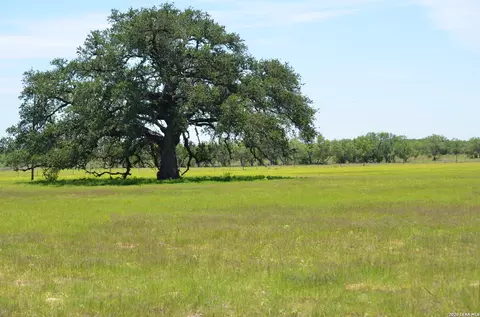 1140 County Road 765, Moore, TX 78057