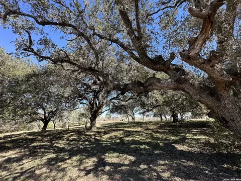 tbd Highway 181, Beeville, TX 78102 photo 5