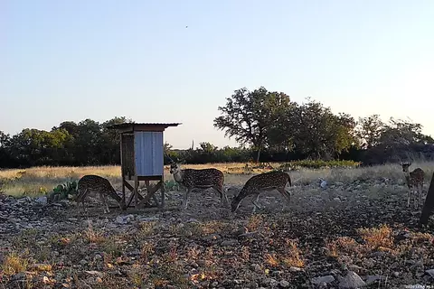 482 Wingert Rd, Junction, TX 76849 photo 38
