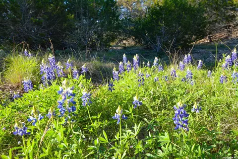482 Wingert Rd, Junction, TX 76849 photo 49