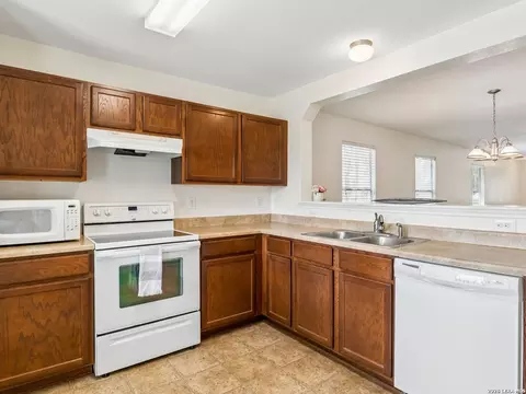 244 Cactus Patch, Selma, TX 78154 photo 13