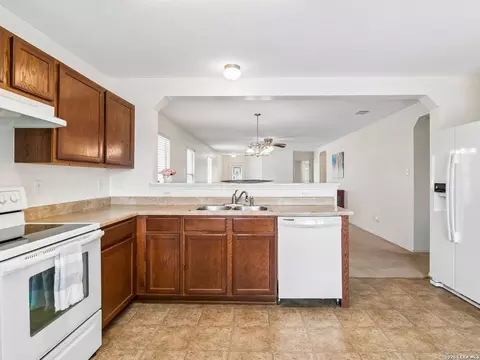 244 Cactus Patch, Selma, TX 78154 photo 14