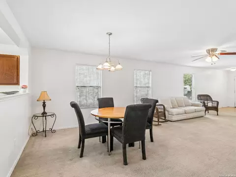 244 Cactus Patch, Selma, TX 78154 photo 10