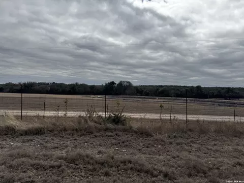414 George Dolson, Blanco, TX 78606 photo 4