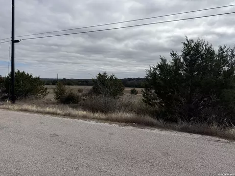 414 George Dolson, Blanco, TX 78606 photo 8