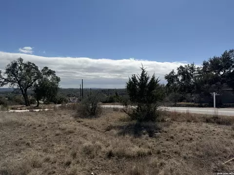 203 George Dolson, Blanco, TX 78606 photo 7