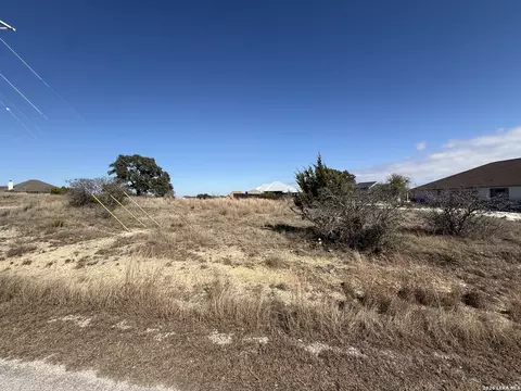 203 George Dolson, Blanco, TX 78606 photo 5
