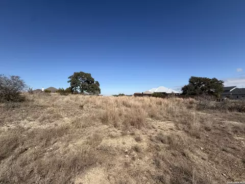 203 George Dolson, Blanco, TX 78606 photo 3