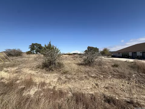 203 George Dolson, Blanco, TX 78606 photo 4