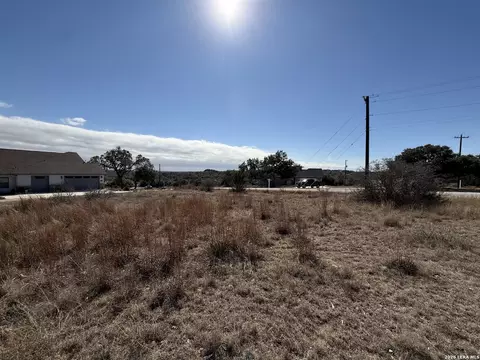 203 George Dolson, Blanco, TX 78606 photo 8
