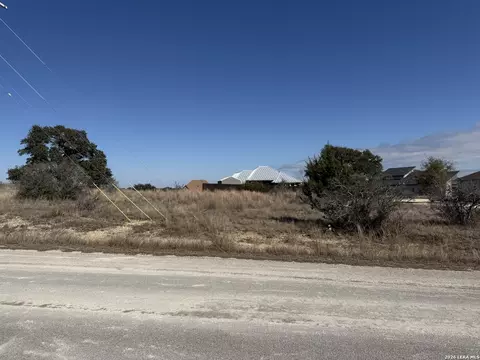 203 George Dolson, Blanco, TX 78606 photo 2