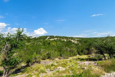472 Stallion Estates Dr, Spring Branch, TX 78070 photo 5
