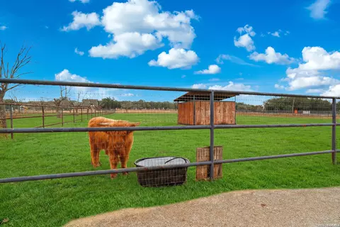 7380 Rolling Acres Trl, Fair Oaks Ranch, TX 78015