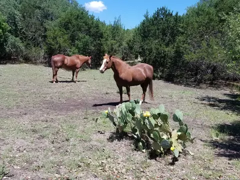 1035 Mystic Breeze, Spring Branch, TX 78070