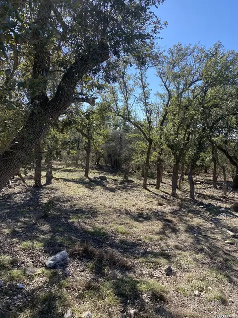 106 Ulmus, Fredericksburg, TX 78624