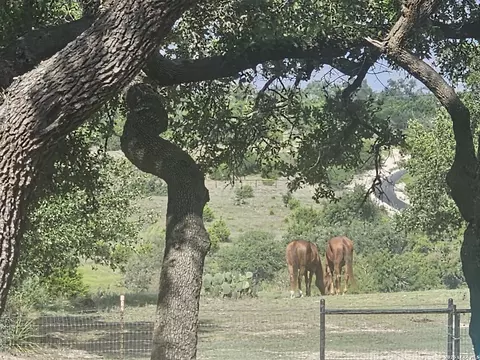 552 Rock Trl, Spring Branch, TX 78070