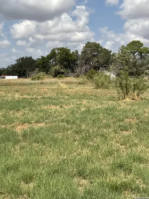 000 Libold, Devine, TX 78016 photo 3
