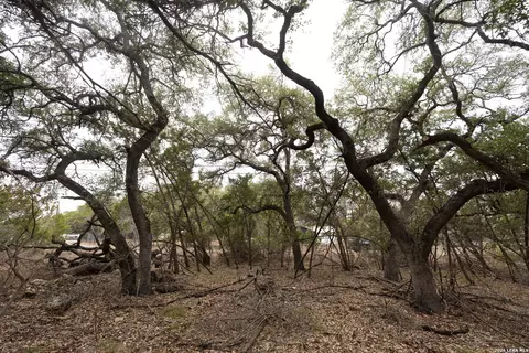 2480 Cypress Gdns, Spring Branch, TX 78070