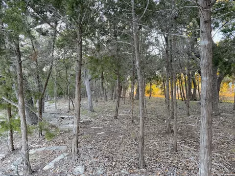 209 Legacy, Canyon Lake, TX 78133