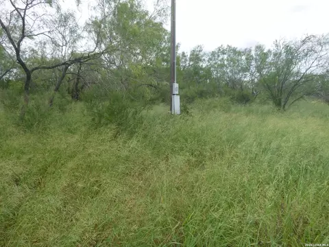 4253 E Fm 462, Moore, TX 78057